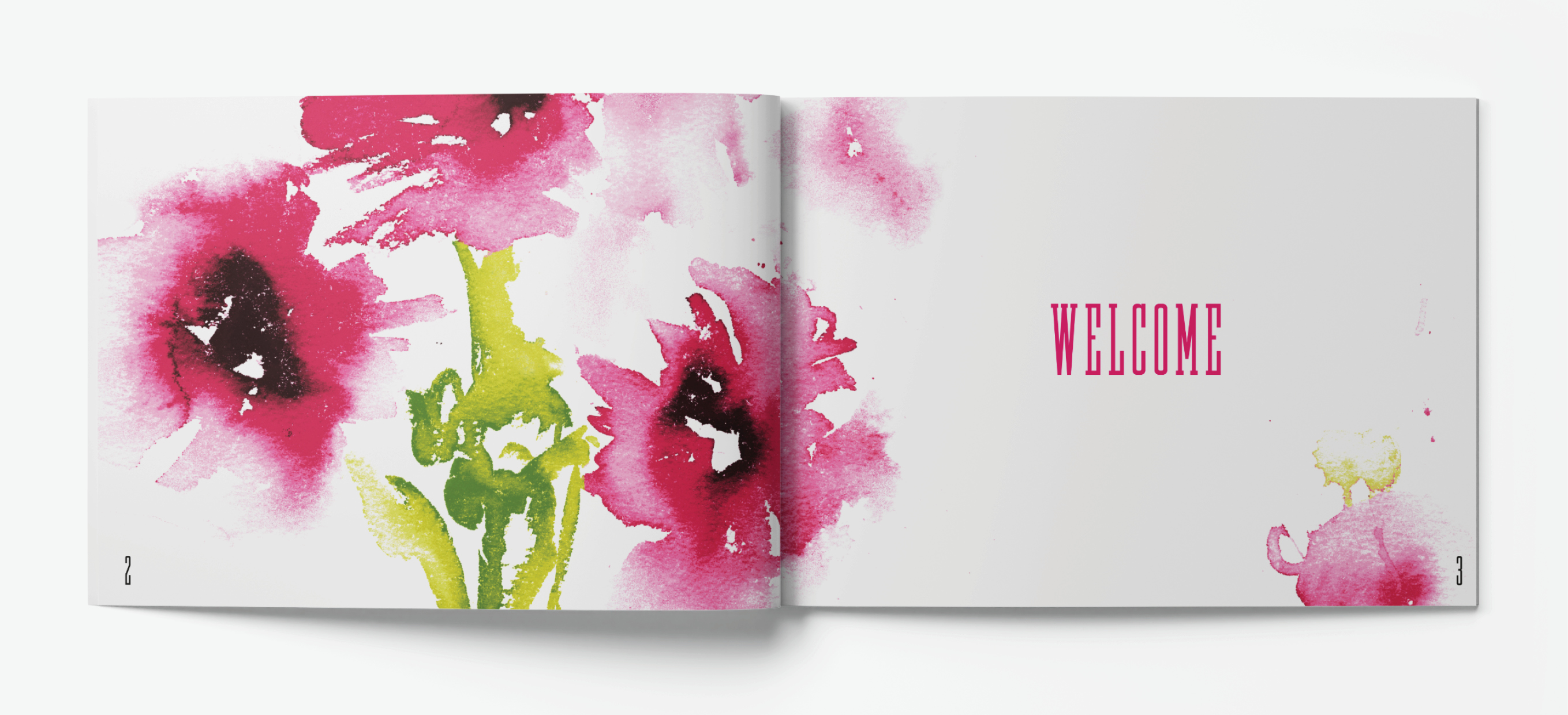 Springfields Brochure